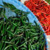 Chilies of different sizes and colors at the flower and vegetable market in Bangkok