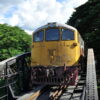 A train passing through the Bridge over the River Kwai. Visit it on our private tour from Bangkok to Kanchanaburi.