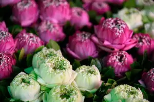 Visit the flower and vegetable market on a Bangkok tour. Flowers, vegetables, fruits, spices, are sold at one of Bangkok's largest markets.