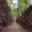 Hellfire Pass was built using simple tools by allied soldiers during World War II, a walk through the pass is a moving experience on our private tour from Bangkok.