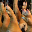 Pig's legs at Khlong Toey Market