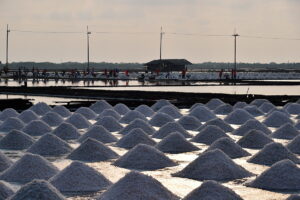 Visit the salt farms on a private tour to the floating markets from Bangkok. White fields with layers of salt remain after the sea water has evaporated.