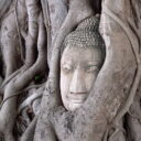 Buddha head in tree root at Wat Mahathat temple ruin in Ayutthaya. Visit this impressive temple ruin on our private tour to Ayutthaya from Bangkok.